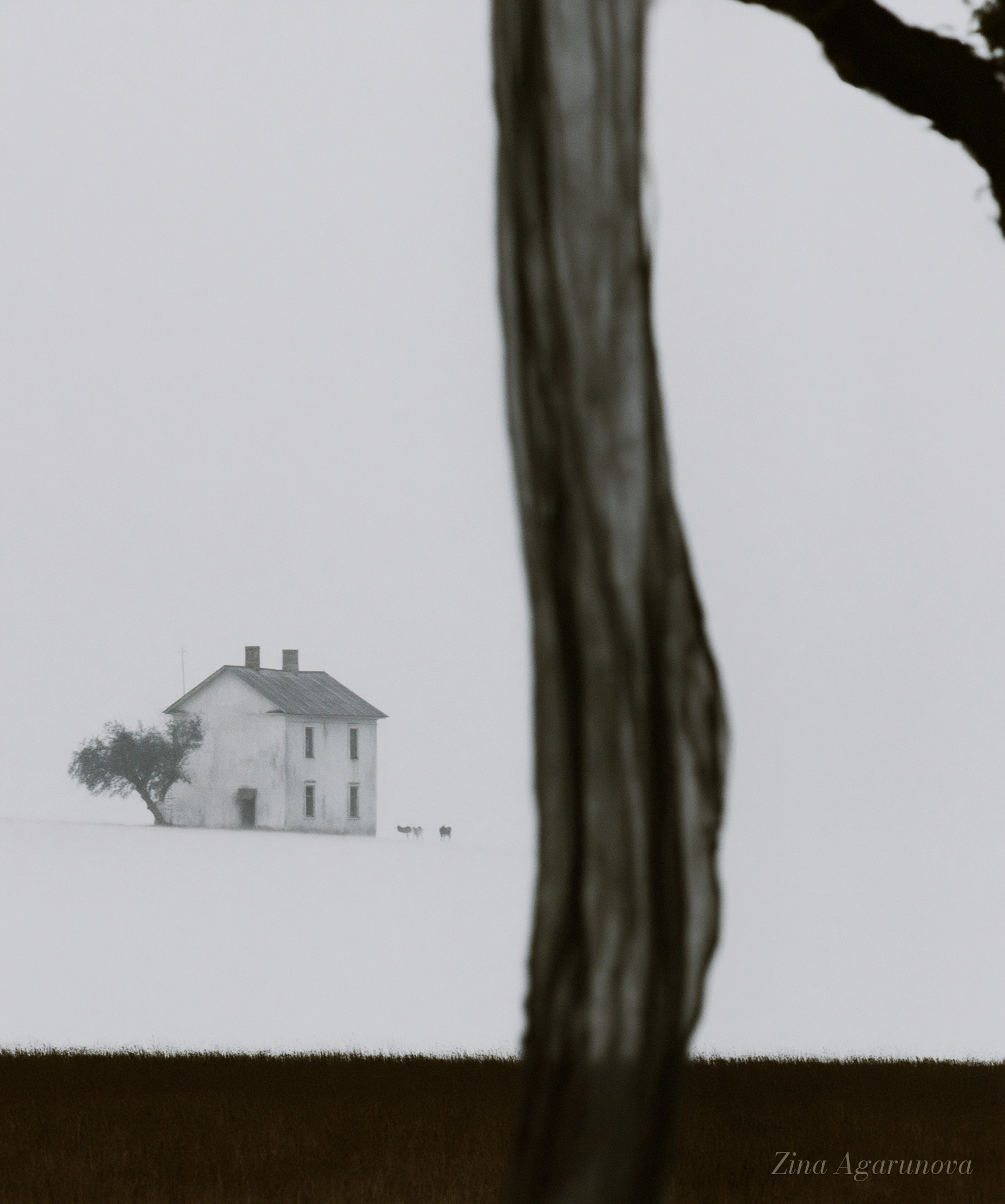 White memory 01