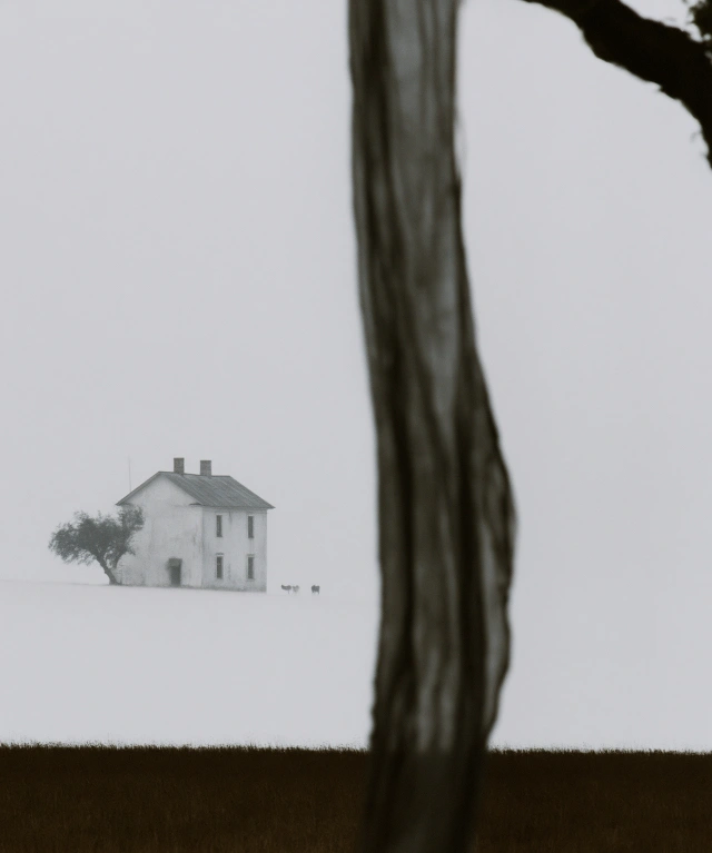 White memory 01