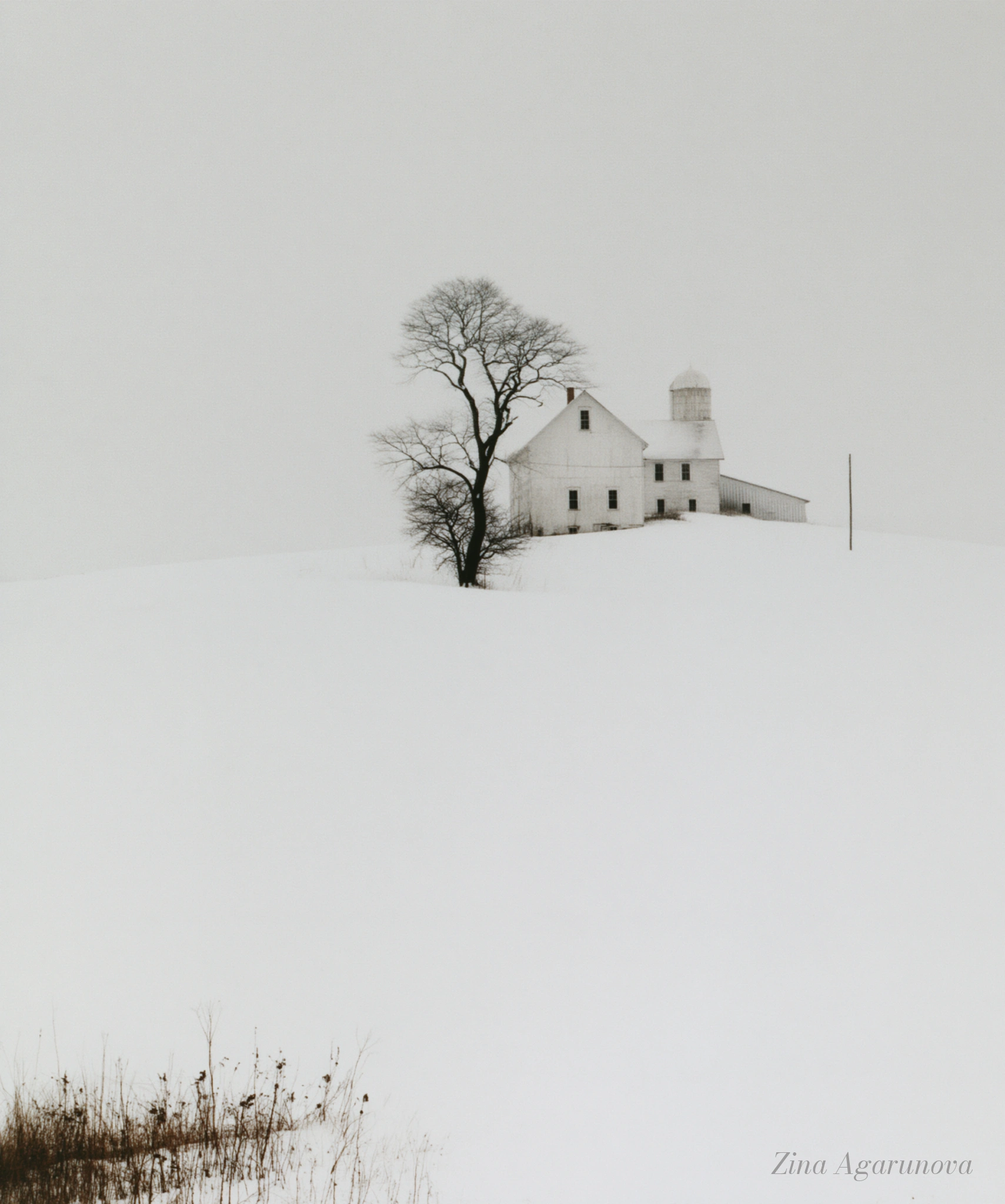 White memory 26