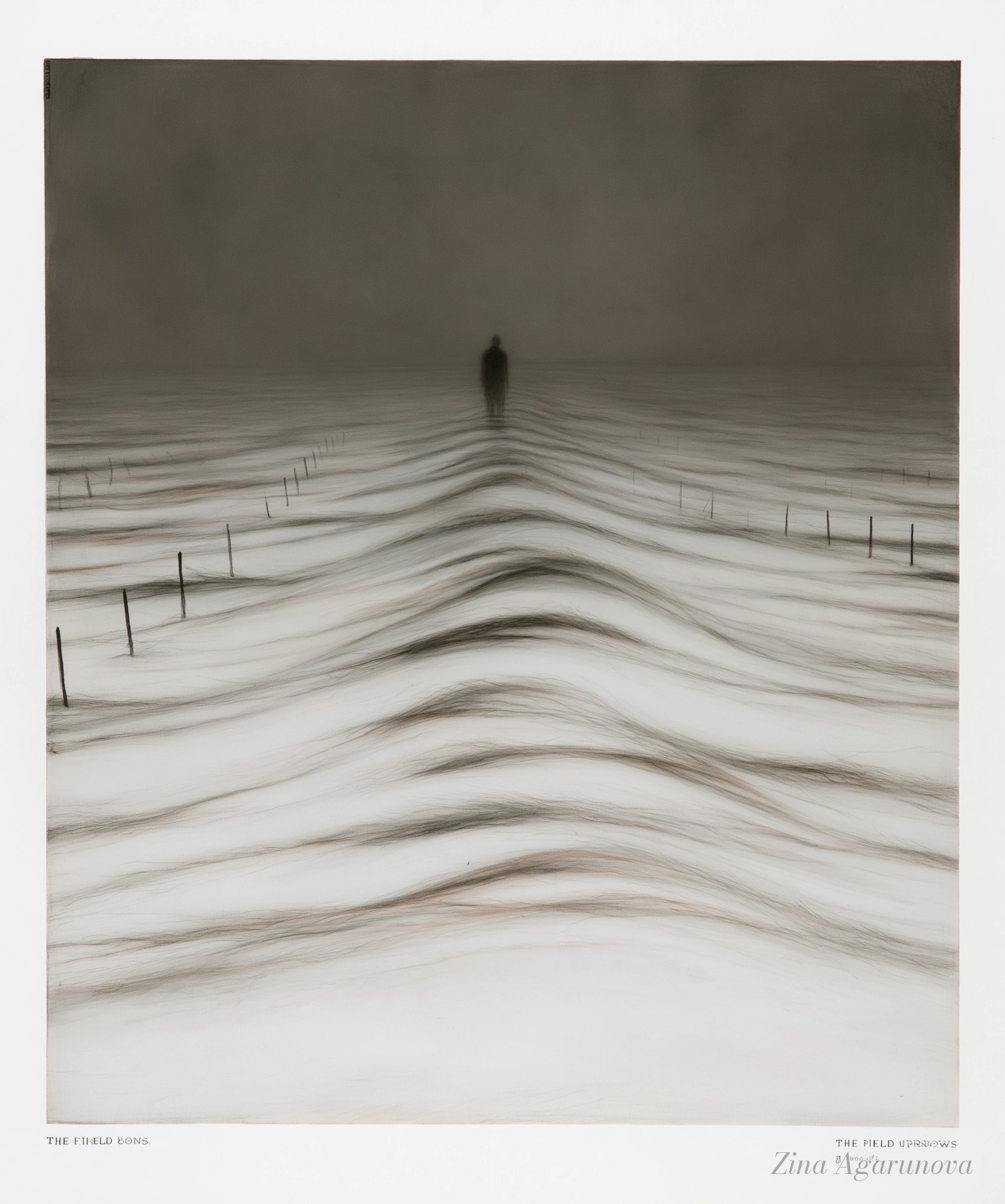 White memory 03