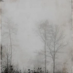 White memory 05
