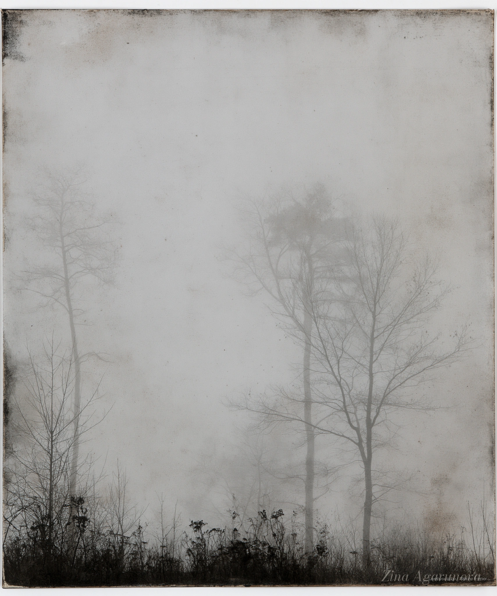 White memory 05