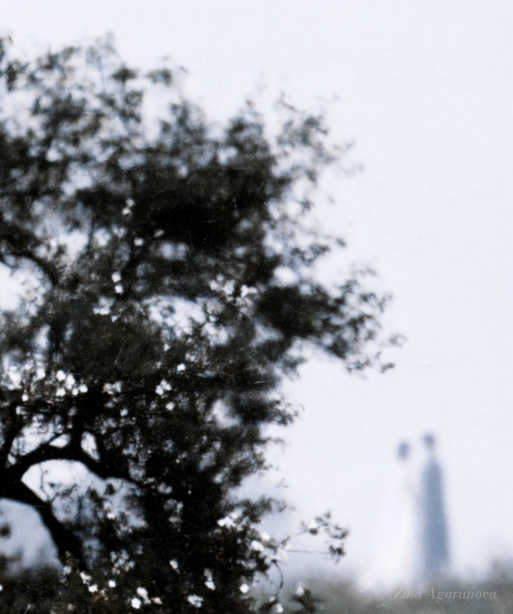 White memory 06