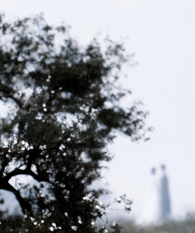 White memory 06