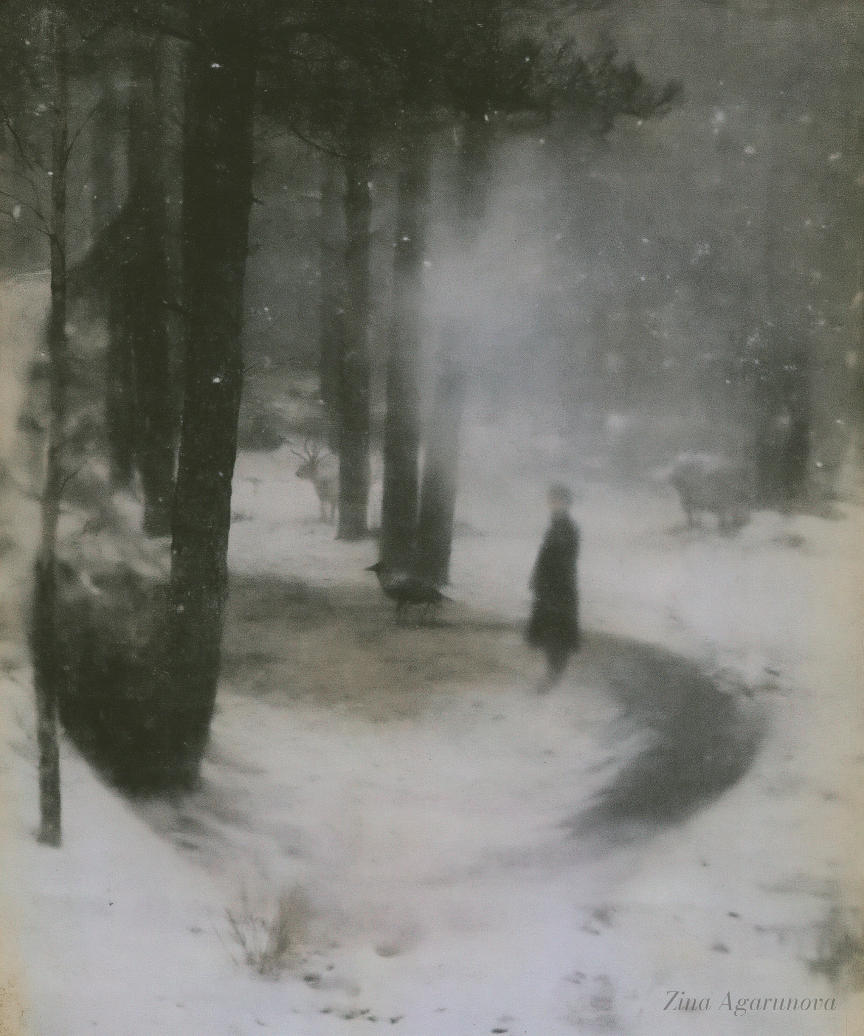 White memory 14