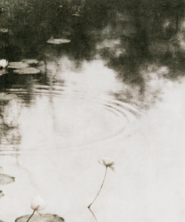 White memory 18
