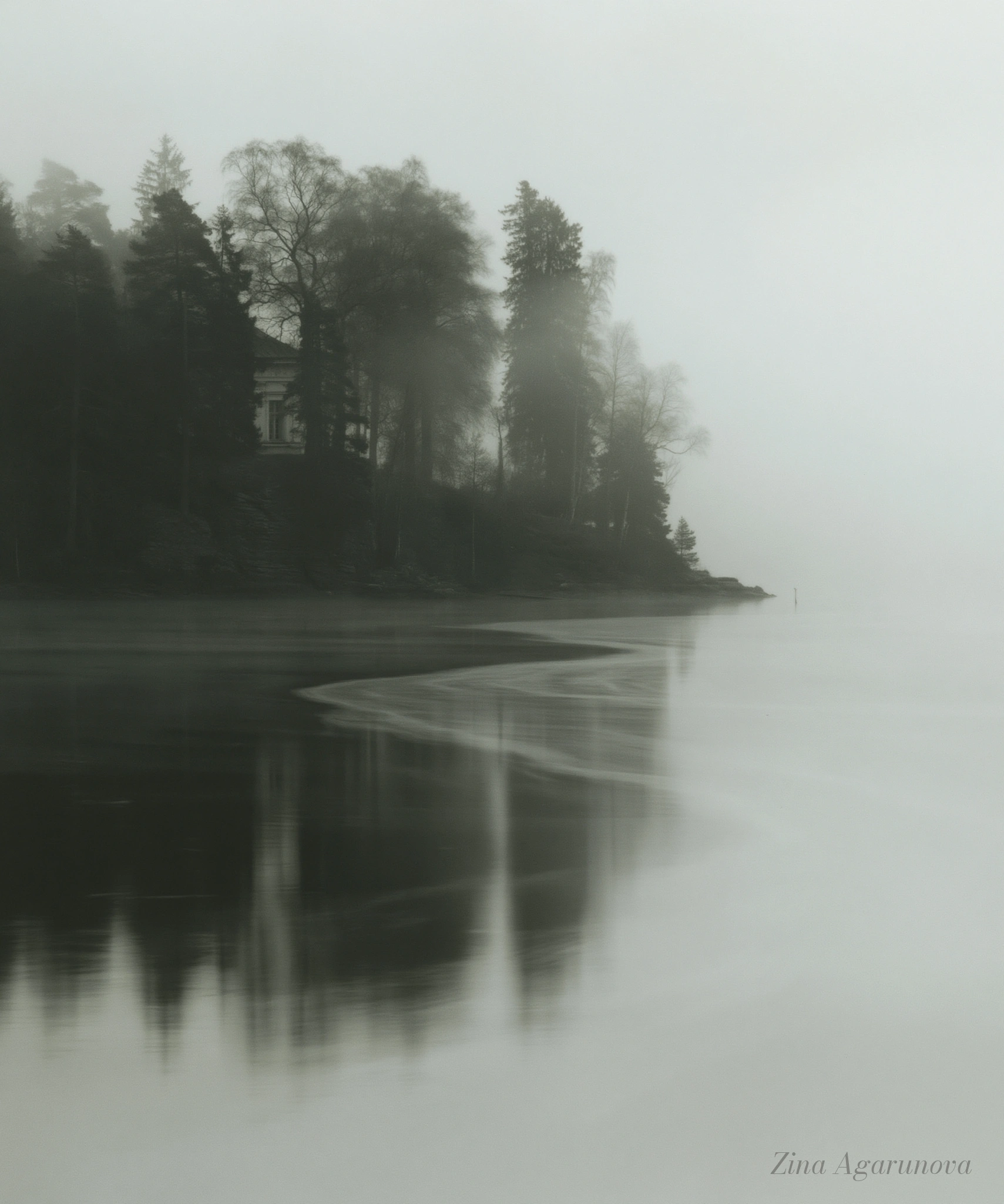 White memory 08