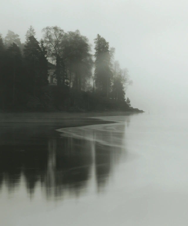 White memory 08