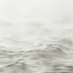 White memory 21