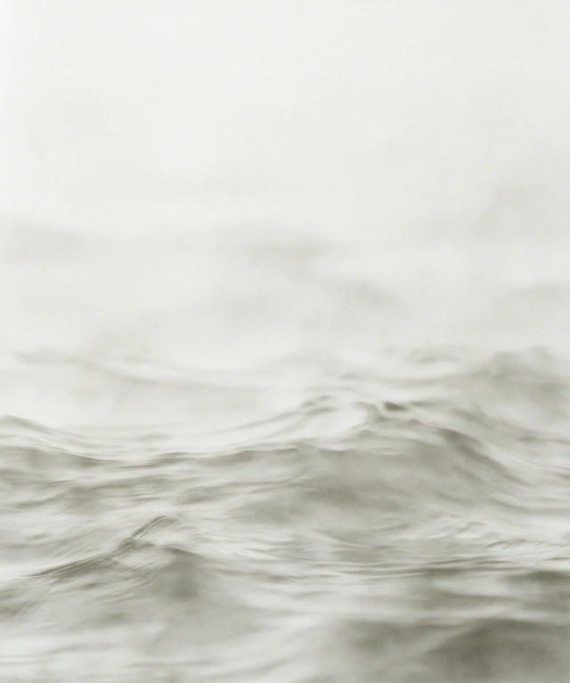 White memory 21