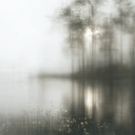 White memory 22