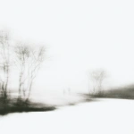 White memory 17