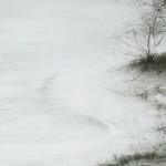 White memory 19